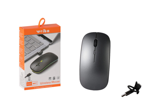 MOUSE W07